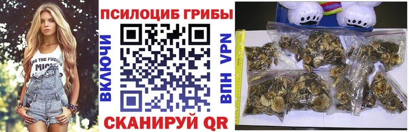 omg зеркало  Пересвет  Галлюциногенные грибы мицелий 
