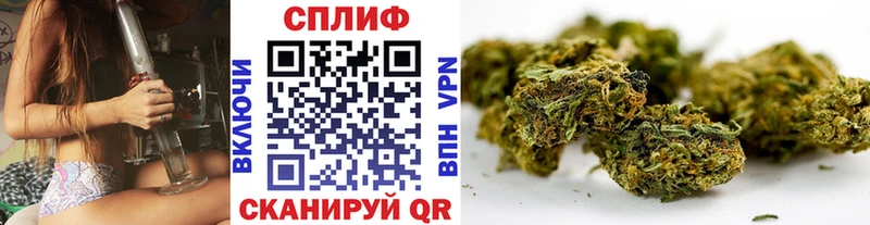 Бошки Шишки Amnesia  Пересвет 